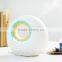 Environment Friendly Bi-injection Air Quality Control Ultrasonic Cool Mist Humidifiers