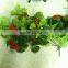 Home and outdoor garden edging christmas decoration 60cm or 24inches Height artificial small grass for green wall E04 1006