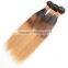 1B/4/27# Brazilian Ombre Straight Three Tone Virgin Brazilian Ombre Hair