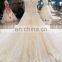 LS00303 Kleinfeld Appliqued Long Dresses Long Train See Through Beaded Bridal Dress for Wedding