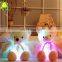 High Quality Stuffed Soft Plush LED Toys Night Lighting Colorful Bear