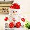 Custom Made Funny Christmas Plush Toy Snowman