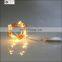 Outdoor Holiday Lighting 2M 20L Mini LED String Light