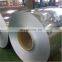 Top price hot rolled galvanized steel coils made in China