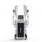 Coolsculpting cryolipolysis fat freezing machine vacuum fat cellulite machines for body slimming 4 handles