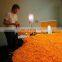 kurkure making machine price snacks food processing line cheetos extruder niknaks equipments
