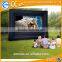 Best quality inflatable projector screens, street inflatable movie screen/cinema screen