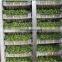 Easygreen Mikrofarm/Bioset/Tribest Sprouter With Best Sprouting Systems For Sale