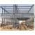 Multi-storey Steel Structure Warehouse Building Construction Storage Shed
