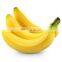 A Nutritious Fresh Banana From Vietnam