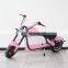 2022 New Electric Motorcycle 2 Wheel Electric Scooter Citycoco With EEC Made In China