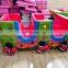 Fun kiddie fairground carnival rides equipment amusement rides mini rail train with track