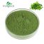 Feed Grade Bulk Animal Feed Grass Extract Meal Alfalfa Powder for Cattle Feed