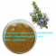 High quality rosmarinus officinalis extract rosmarinic acid CAS 20283-92-5