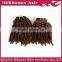 2015 new style No Shedding brazilian Remy curly Double Drawn Virgin Hair