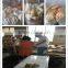 Jam centre core filler snack food extruder