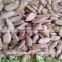 5009 sunflower seed kernels for bird feed