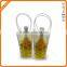 Custom Color Insulated Type Wine Freezer bag