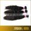 2016 New Premium Hot Brazilian Human Hair 100% Virgin Brazilian Hair for Black Women