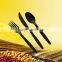 Biodegradable disposable plastic tea spoon:XYFS-01