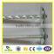 Anping Hanqing Twisted Roofing Nail