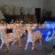 2016 Led Fancy Light Deer Motif Light 3d For Christmas