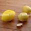 Promotion Juicer Fruit lemon Juice Kitchen Squeezer Tool