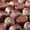 HTL-T widely used chocolate candy making machine pump