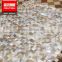 speacisl mother of pearl shell mosaic tile stone pool mosaic                        
                                                                                Supplier's Choice