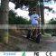 big 2 wheel hoverboard any road scooter max speed