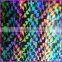 holographic polyester film for lamination