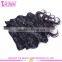 2016 Cheap Factory Price Hot Sale!!! Double Weft Full Head Full Cuticle Clip in Hair Extension