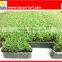 Children and pets safe interlocking artificial turf tile