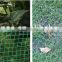 High quality made in China Anti grass mat/Plastic mesh panel/Agricultural net