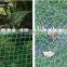 Plastic high quality flower breeding wire mesh/flower breeding net/plastic mesh