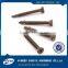 China manufacturer galvanized bling CSK phillips self tapping screw