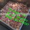 commercial meat bone grinding machine/bone milling machine/bone breaking machine