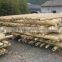 moso bamboo cane for decoration and construction
