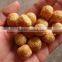 Wholesale special discount cheese ball making machinery