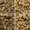 Engineer oversea service available peanut sorter