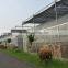 Agicultural Greenhouse