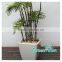 plastic pot hanger bonsai pot self watering planter
