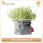 Grey Washable Paper Plant Bag,Kraft Paper Plant Pot