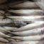 frozen pacific mackerel