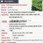High quality mini artificial flowers green wall vertical garden