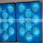 Popular Wholesale Netherlands 39X59cm Black Blue PP Apple Packaging Tray Manufacturer
