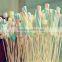 Health and safety marshmallow roasting stick