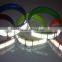 Fluorescent Light Reflective Tape for Dog Collar