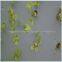 vertical agriculture eco-friendly use breathable healthy seeding planting foam