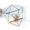 terrarium geometric glass terrarium wholesale